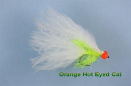 Orange Hot Eyed Cat